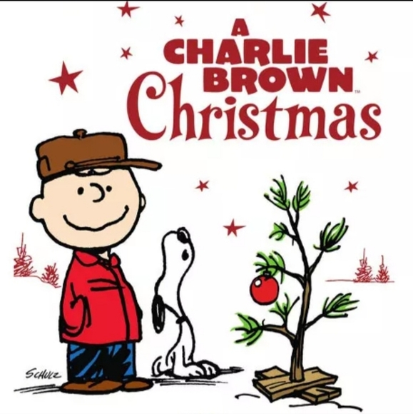 Peanuts Snoopy on Holiday Doghouse Hallmark Christmas Tree Ornament - Picture 13 of 16